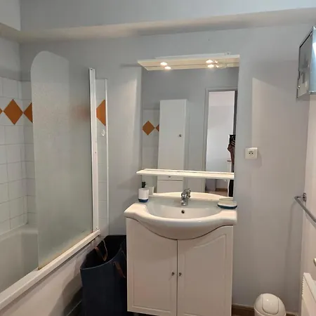 Agreable F2 Avec Clim & Wifi Dans Piscine A Pied Lejlighed