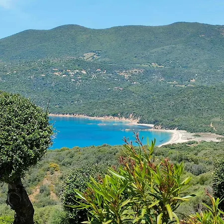 Agreable F2 Avec Clim & Wifi Dans Piscine A Pied Lejlighed Serra-di-Ferro (Corsica)